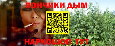 дмт Новокубанск