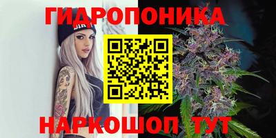 дмт Новокубанск