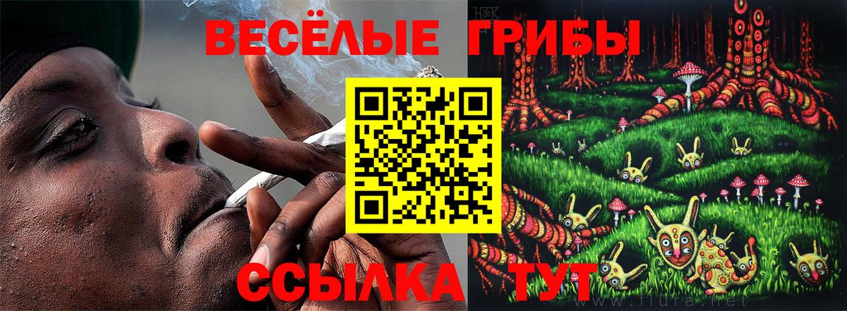 Псилоцибиновые грибы GOLDEN TEACHER Уссурийск